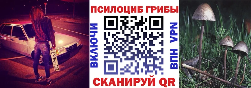 Купить  Кемь  Галлюциногенные грибы ЛСД 
